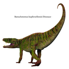 Batrachotomus Dinosaur Tail - Batrachotomus was a carnivorous archosaur dinosaur that lived in Germany during the Triassic Period.