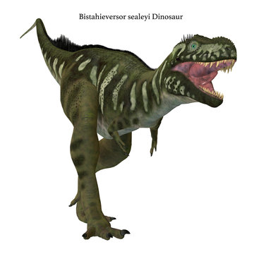 Bistahieversor Dinosaur on White - Bistahieversor was a carnivorous theropod dinosaur that lived in New Mexico, North America during the Cretaceous Period.
