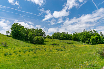 Fototapeta premium Beautiful green meadows stretched among the picturesque mountains.