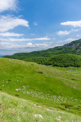 Fototapeta na wymiar Beautiful green meadows stretched among the picturesque mountains.