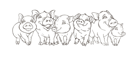 friendly company of cute pigs