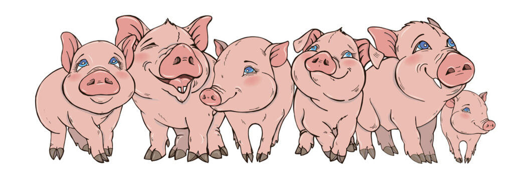 friendly company of cute pigs