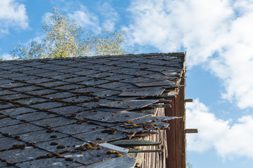 Broken leaking asbestos roof with rotten wood