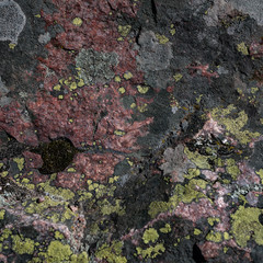 Mossy limestone detail texture
