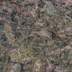 Mossy limestone detail texture
