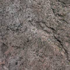Mossy limestone detail texture