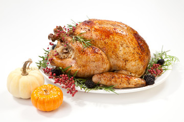 Thanksgiving Turkey on White