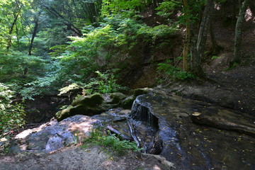 Naklejka na ściany i meble Waterfall in te summer forest