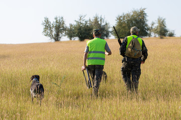 Hunter with a German trotter and spaniel, hunting a pheasant with dogs	