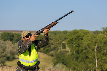 Hunter with a German trotter and spaniel, hunting a pheasant with dogs	