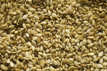 food sesame close up