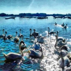 Oil painting. Art print for wall decor. Acrylic artwork. Big size poster. Watercolor drawing. Modern style fine art. Painting for sale. Beautiful nature landscape. Wonderful view. Swans on the pond.