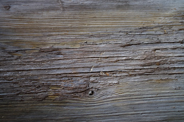 Salvaged cypress board from 100+ year old wooden cistern