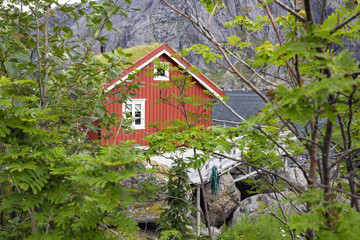 Red wooden house called rorbu at the Lofoten archipelago, Norway