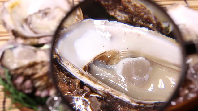 岩がきと拡大鏡