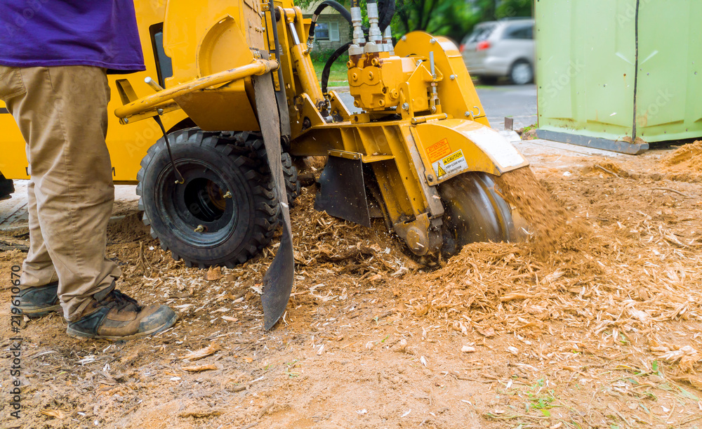 Wall mural Man cuts a stump grinder in action