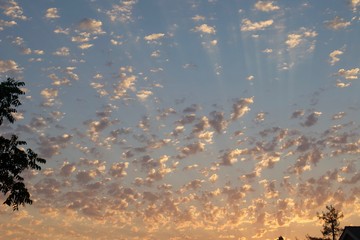 Shiloh Ranch Regional Park in southeast Windsor includes oak woodlands, forests of mixed evergreens, ridges with sweeping views of the Santa Rosa Plain, canyons, rolling hills, a shaded creek, and a p