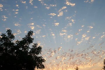Shiloh Ranch Regional Park in southeast Windsor includes oak woodlands, forests of mixed evergreens, ridges with sweeping views of the Santa Rosa Plain, canyons, rolling hills, a shaded creek, and a p