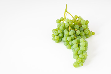 Bunch of fresh picked champagne grapes on a white background
