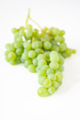 Bunch of fresh picked champagne grapes on a white background
