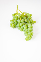 Bunch of fresh picked champagne grapes on a white background
