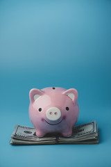 Piggy bank and money, concept for saving money.