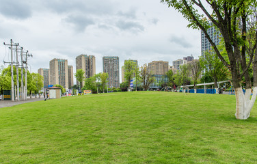 City's vast grassland park and skyscrapers in the business district