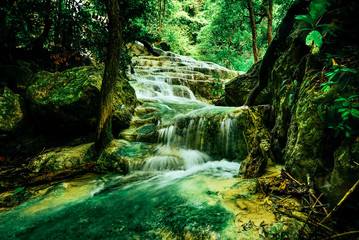 Obraz premium Beautiful waterfall in the rain forest jungle