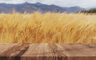 Wheat ears field background, ripe wheat crop with wooden floor