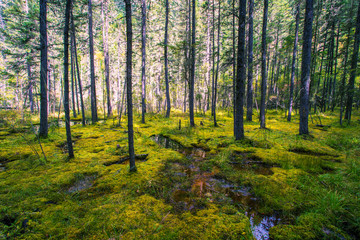 Beautiful scenery near Jiuzhaigou, western Sichuan, China