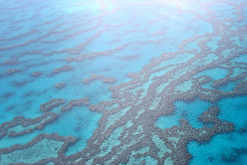 Great Barrier Reef