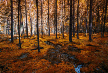 Beautiful scenery near Jiuzhaigou, western Sichuan, China
