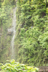 The Road to Hana - Waterfall