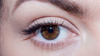 Close up photo of a brown eye with natural make up and eyelines of a female woman