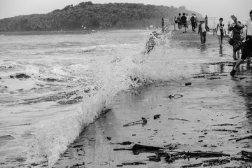 宮崎の観光地青島・台風余波42