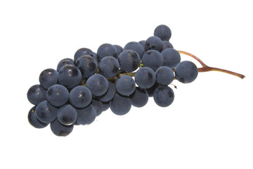 grapes isolated on white background