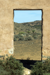 Ruins of Kanyaka Station, Flinders Ranges, South Australia
