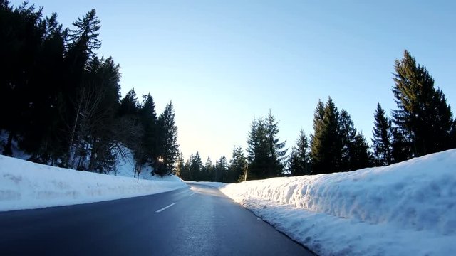 Blinding sun in a winter forest while driving a car