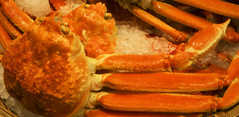 The king crab