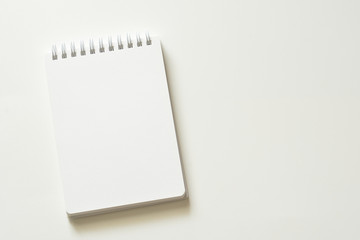 Blank notebook


