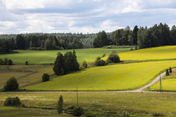 Fototapeta premium Finnish summer landscape with a colorful field and the sky and sandy road. 