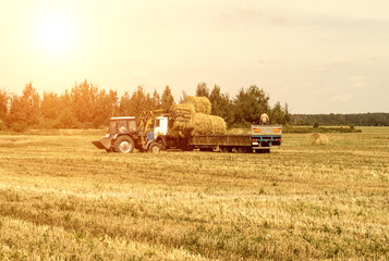 Obraz premium Farmer on a tractor picks haystack and loads bale of hay into the trailer, agriculture
