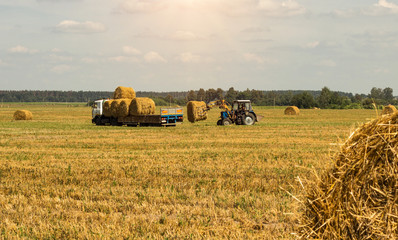 Obraz premium Farmer on a tractor picks haystack and loads bale of hay into the trailer, agriculture