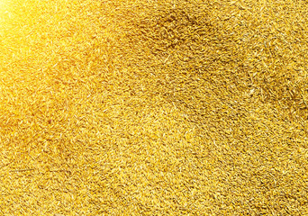 texture of grain of oats, background of oats, close-up, cereal
