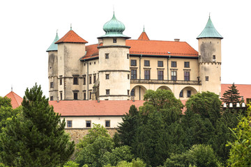 Fototapeta na wymiar 14th century medieval Nowy Wisnicz castle, Poland