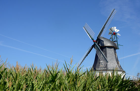 Windmühle Wyk auf Föhr
