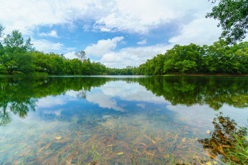 Fototapeta na wymiar Clear Blue sky river reflection landscape