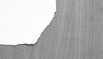 pieces of torn paper texture background, copy space.