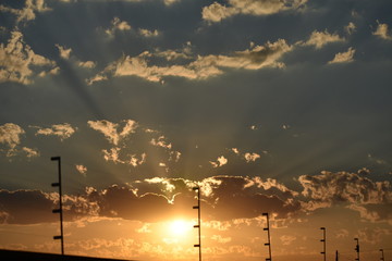 sunnyray