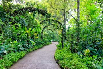 Fotobehang National Orchid Garden at Singapore Botanic Gardens © Z. Jacobs